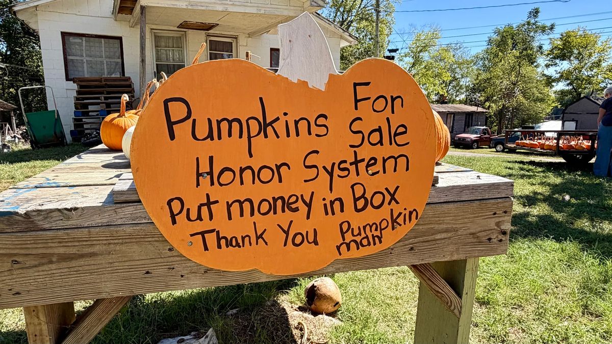 Glasgow’s ‘Pumpkin Man’ returns for another fall