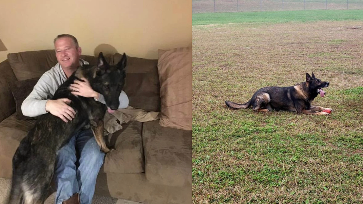 Cave City Police Chief remembers K9 partner Jax after his death