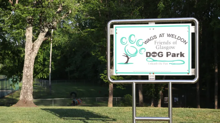 Parvo concerns linger despite no new cases at Weldon Park