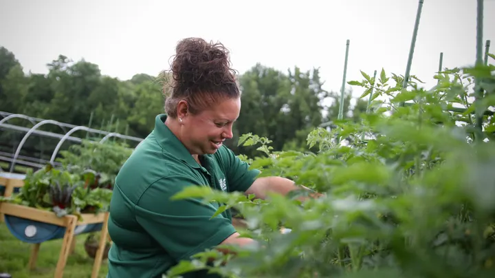 Sustainability garden takes root at Barren River State Park