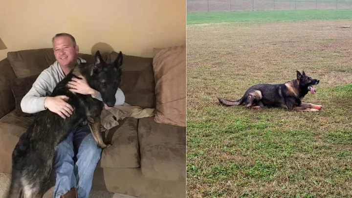 Cave City Police Chief remembers K9 partner Jax after his death