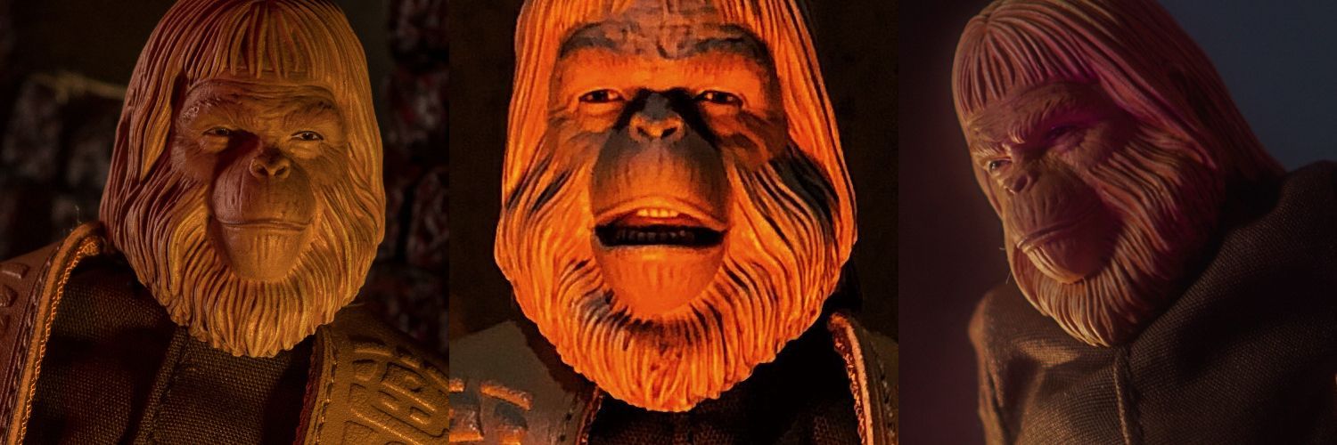 Fan Feature Friday #40 - Dr. Zaius Edition