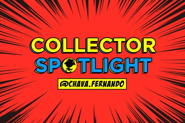 Collector's Spotlight Vol. 31 (@chava.fernando)