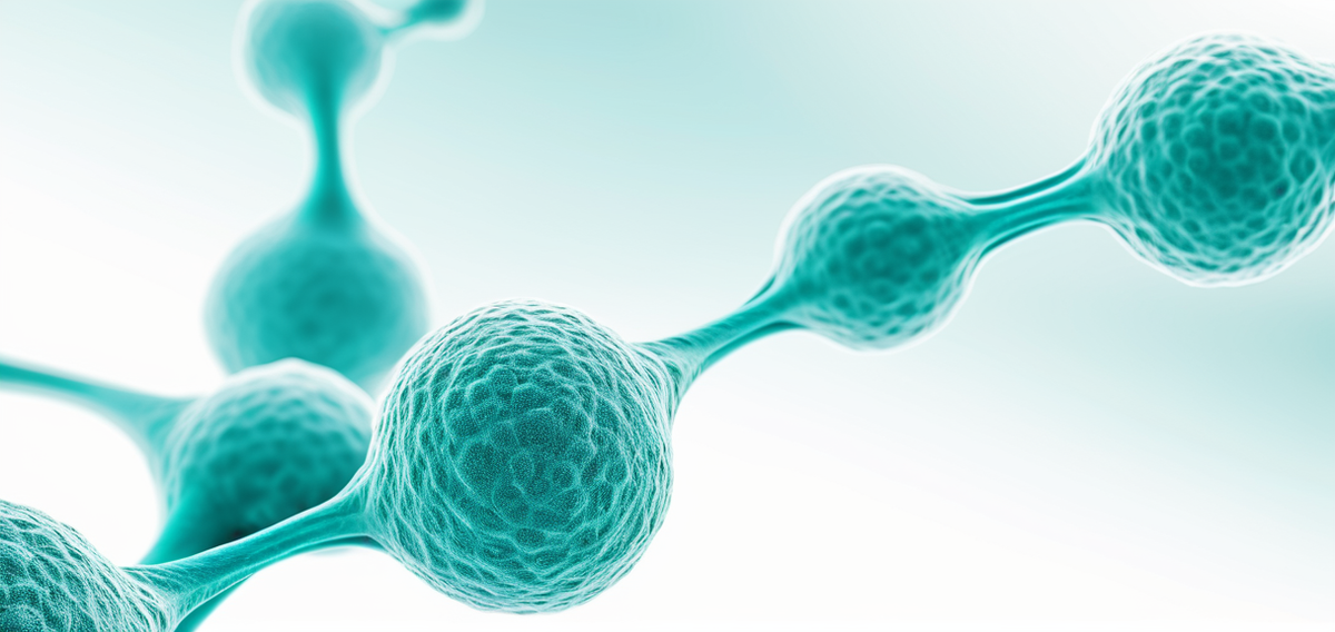 Gut bacterium Terrisporobacter causally linked to papillary thyroid cancer progression.