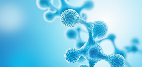 Melatonin boosts BCG immunotherapy against bladder cancer in mouse models.