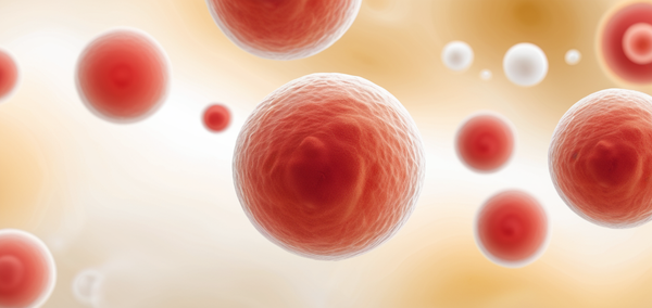 Adding tyrosine kinase inhibitors to chemo may upgrade AML with BCR::ABL1 from high-risk to intermediate-risk.