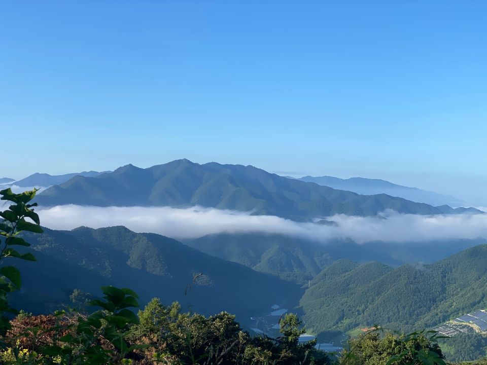 SYNAGOGUE LETTER 2024. 03. 17.