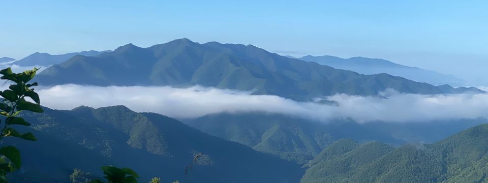 SYNAGOGUE LETTER 2024. 07. 14.