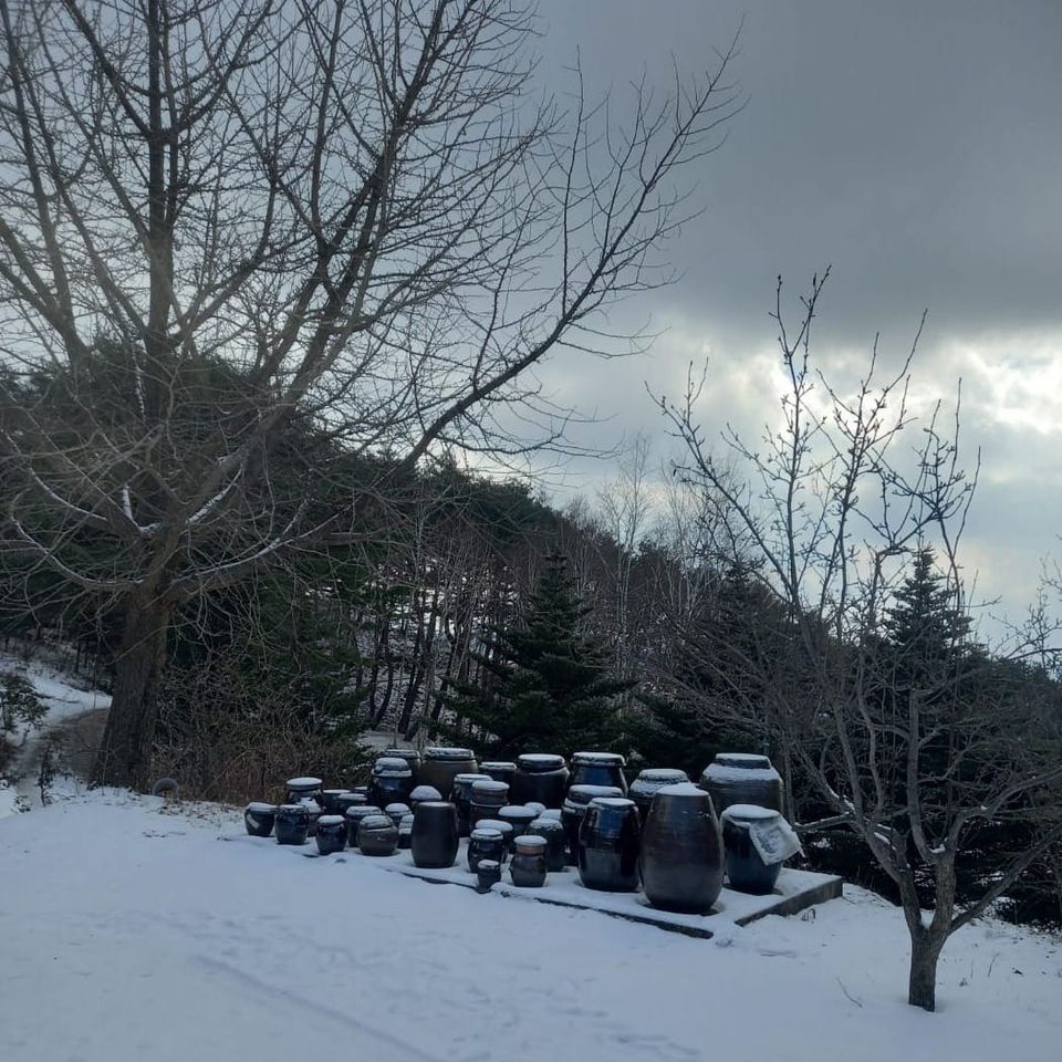 SYNAGOGUE LETTER  2023. 12. 27.