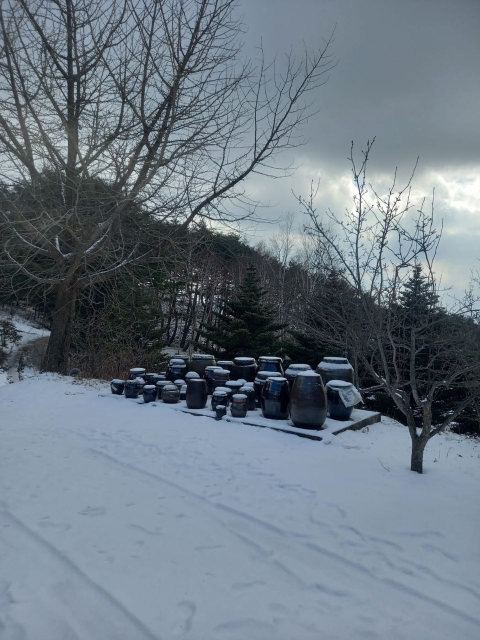 SYNAGOGUE LETTER 2024. 02. 04.