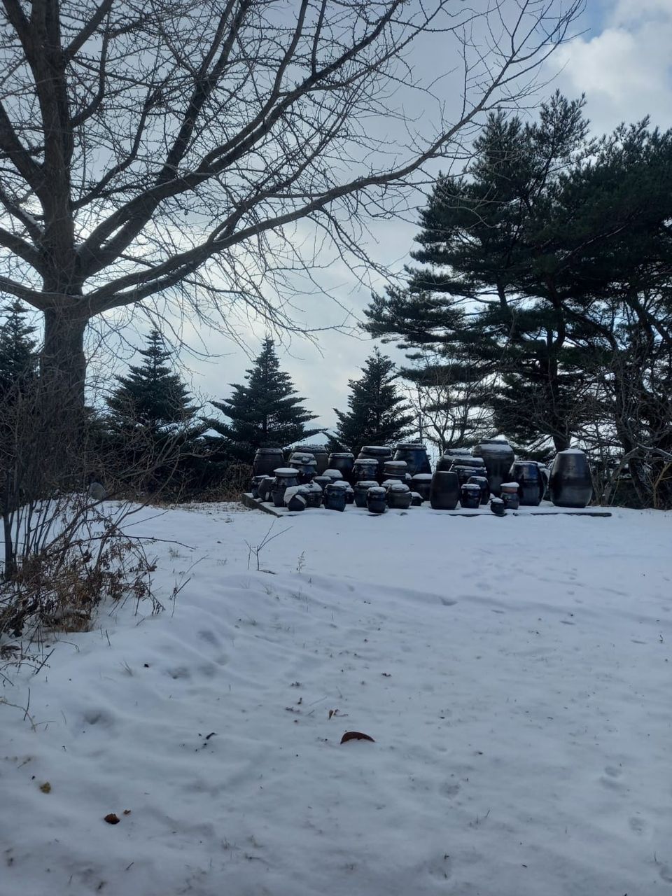 SYNAGOGUE LETTER 2025. 02. 01.