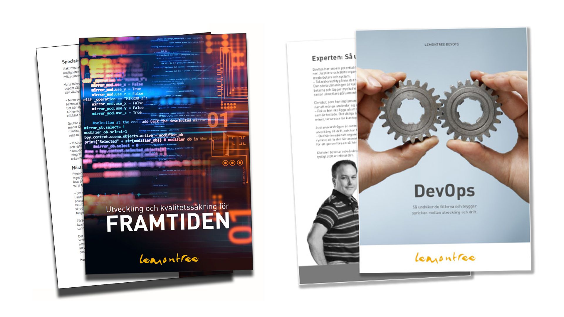 Lemontree whitepapers