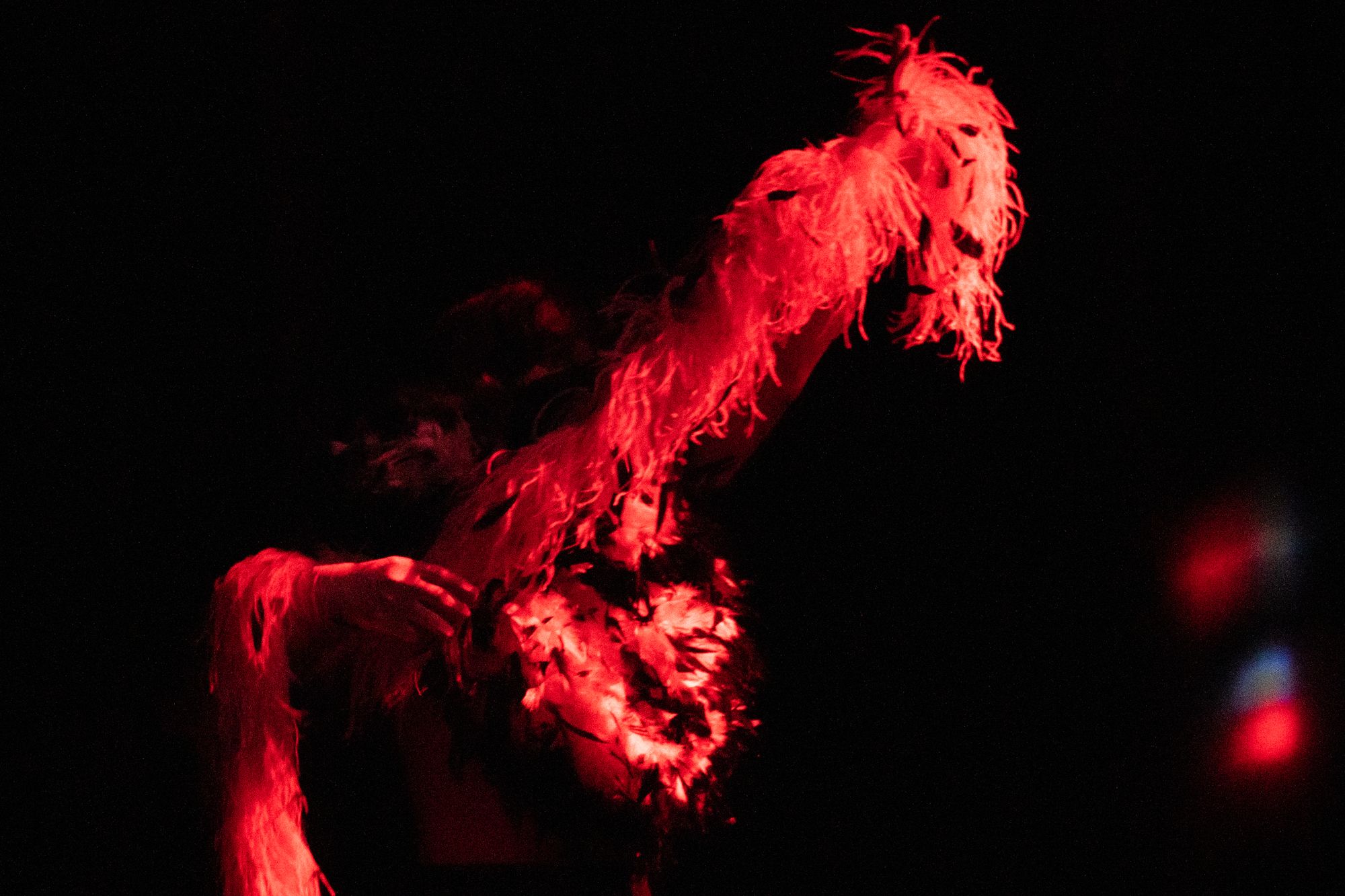 In a very dark room lit only be red light, a performer extends her arm, wrapped in a long feather boa, toward the sky.