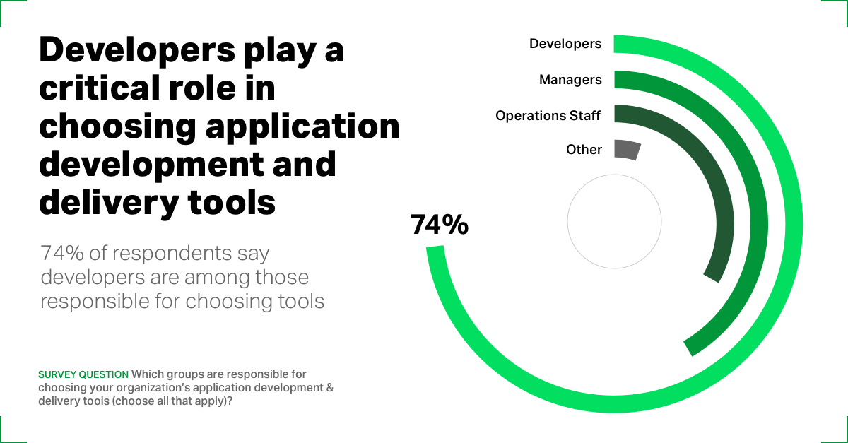 Developer Infographic