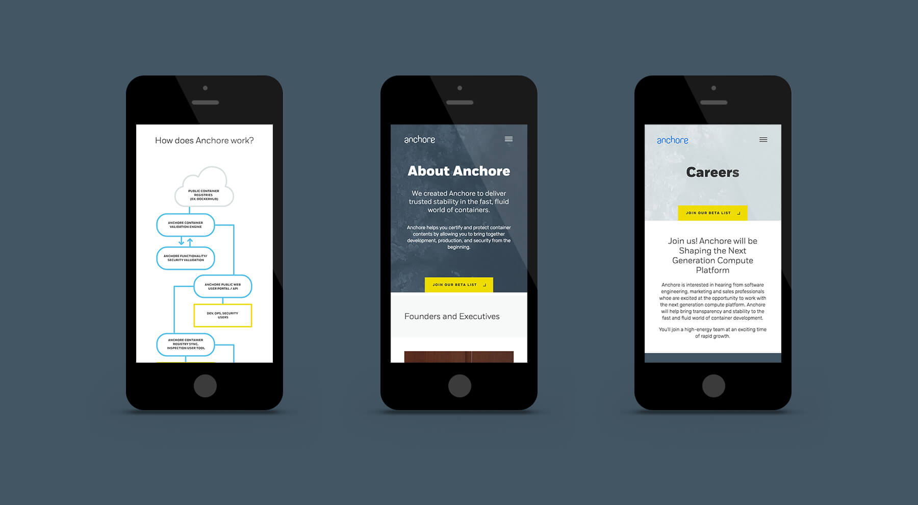 Anchore Homepage on Mobile