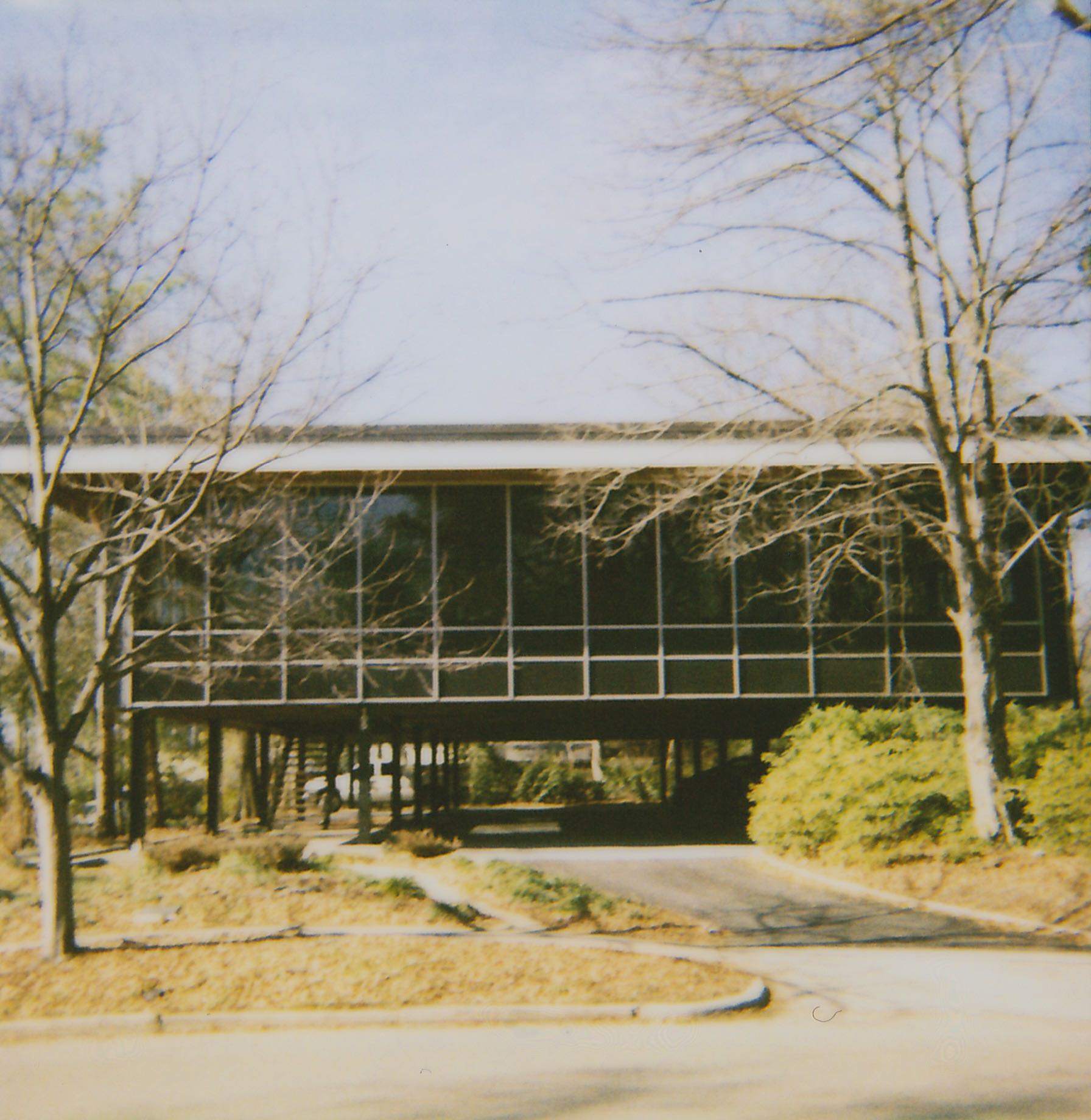 A picture I took using a Polaroid on my first day in New Kind (2010).
