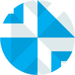 Purpose icon