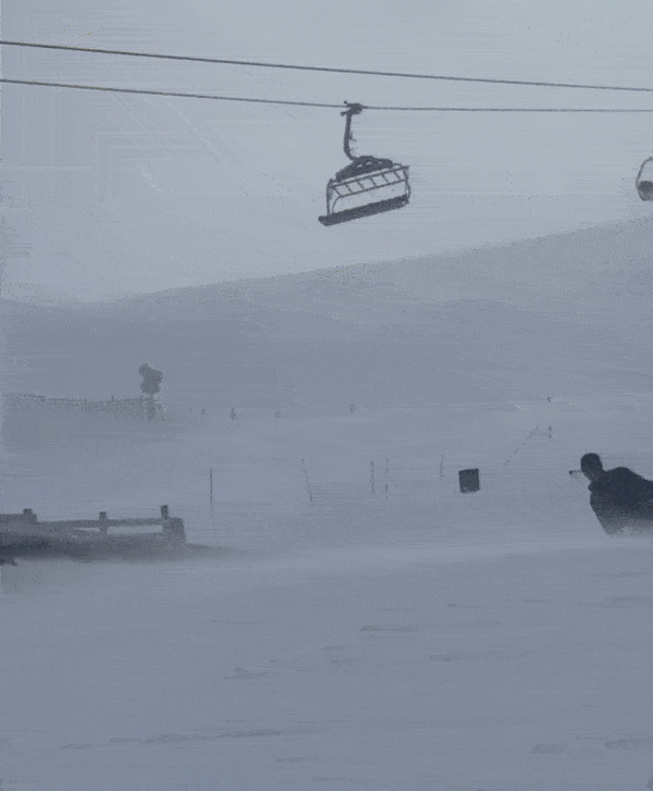 A Christmas Miracle: Nina and Shaun White Get Back Together Because Ecliptic is Back!