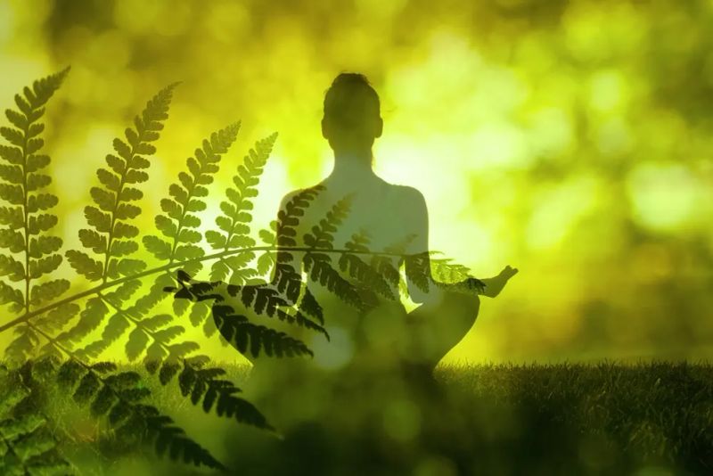 Comment lutter contre le stress chronique qui vous empêche de perdre du poids ?