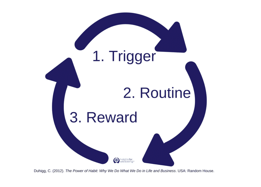Cycle des habitudes