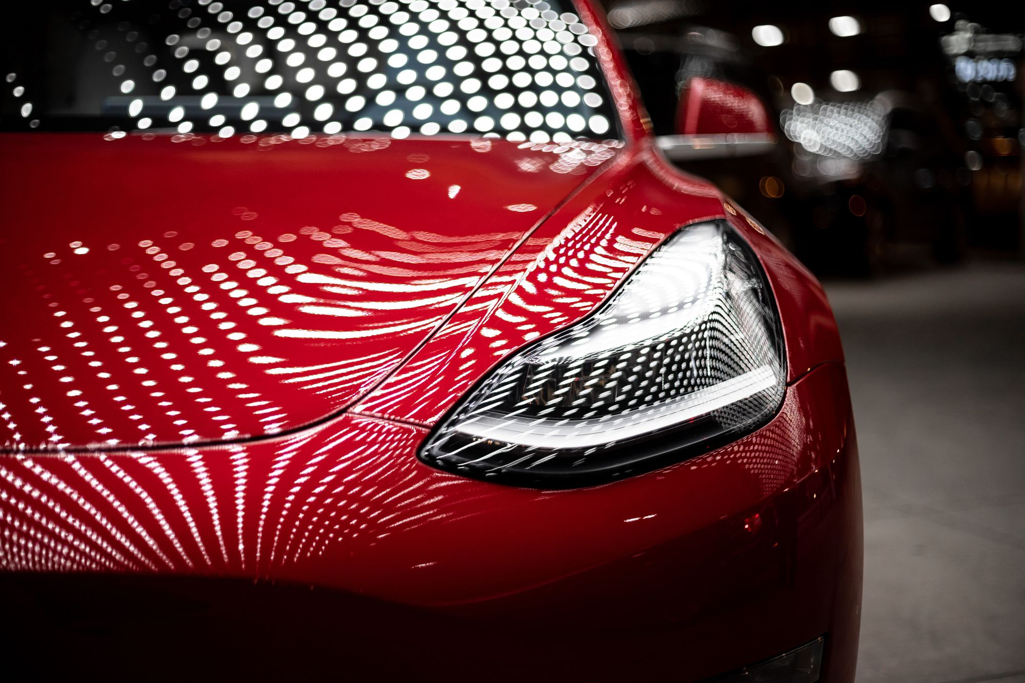  cover image of Elon Musk's Twitter Takeover