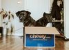 
						cover image of Pet Stocks Lose Their Momentum
				