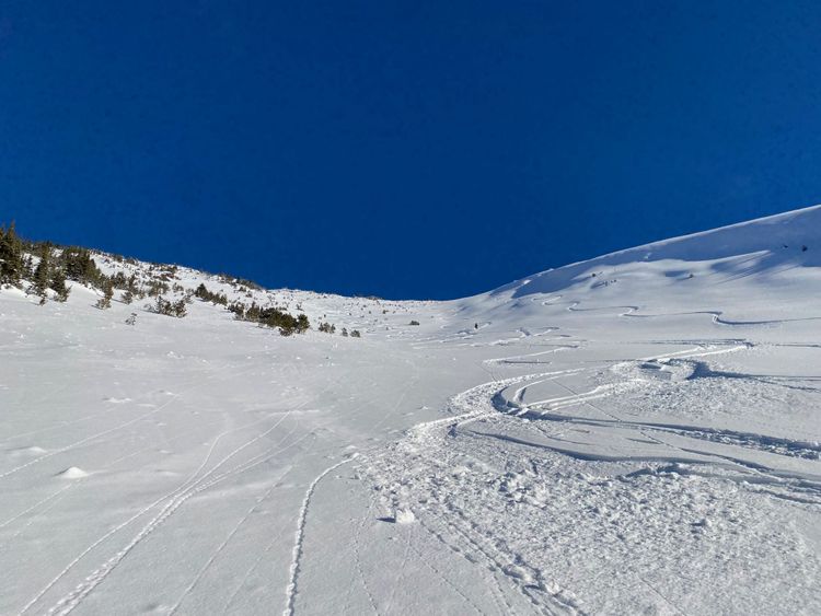 Blowdown Peak and Melissa's Run