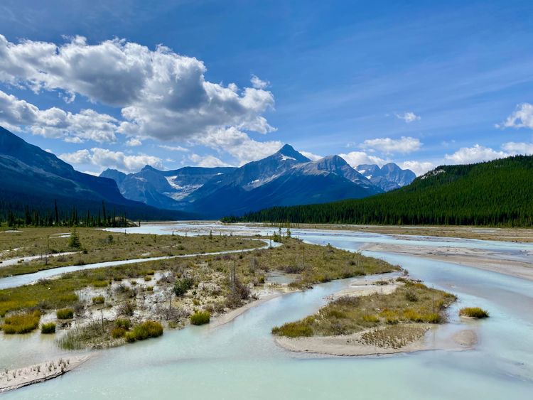 Great  Divide Trail Section D