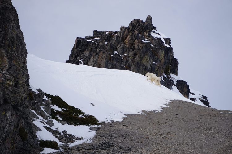 Skating to Guard Mountain