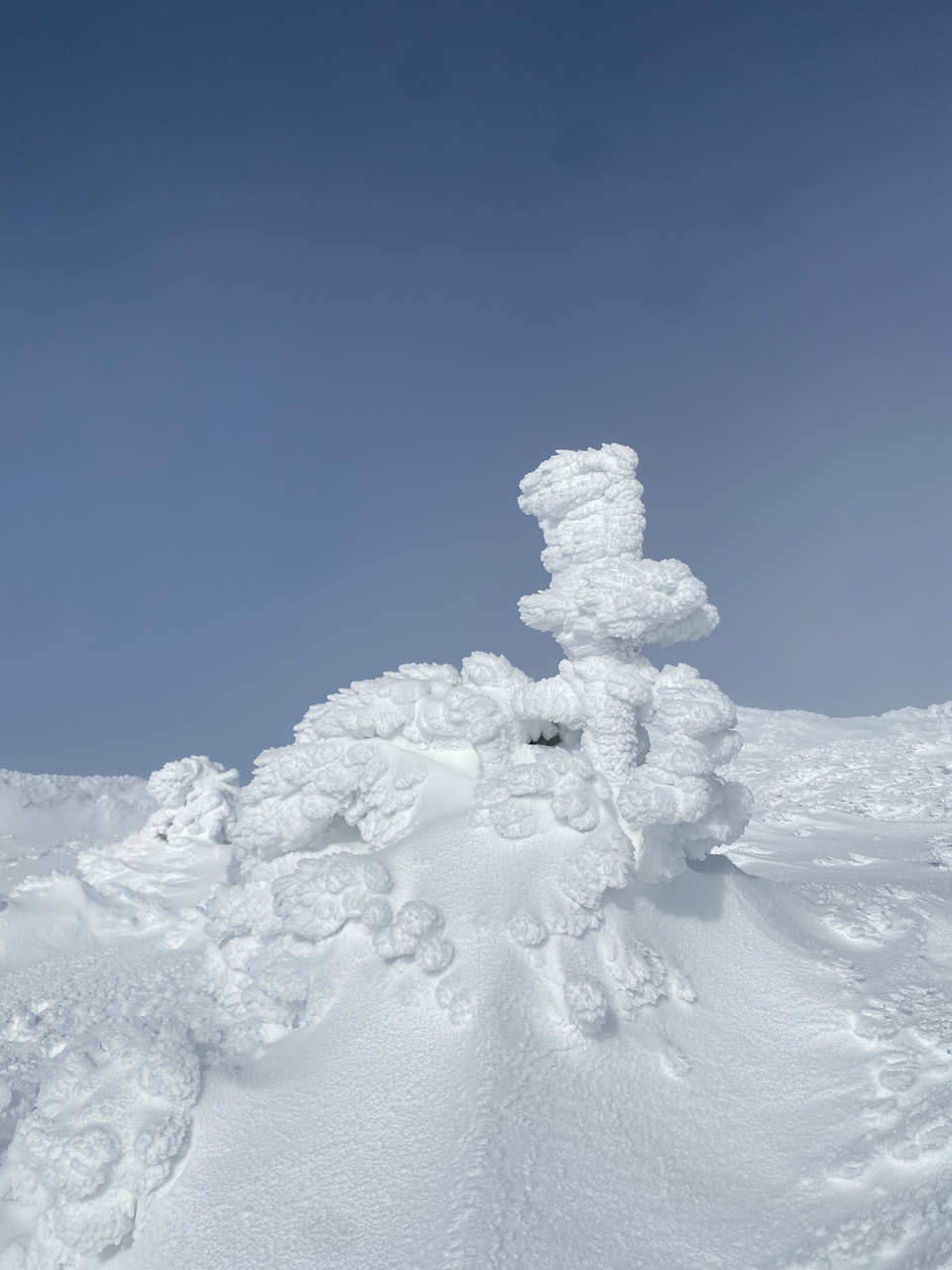 Mount Mansfield via Sunset Ridge Trail