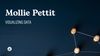 Mollie Pettit: Visualizing Data