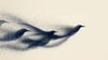 A New Framework for Understanding Emergence in Complex Systems
