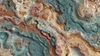 An abstract image of intricate biological textures