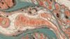 An abstract image of intricate biological textures