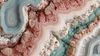 An abstract image of intricate biological textures