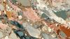 An abstract image of intricate biological textures