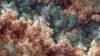 An abstract image of intricate biological textures