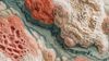 An abstract image of intricate biological textures