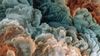 An abstract image of intricate biological textures