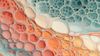 An abstract image of intricate biological textures