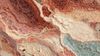 An abstract image of intricate biological textures