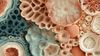 An abstract image of intricate biological textures