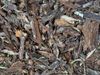 A photo of a pile of tree bark