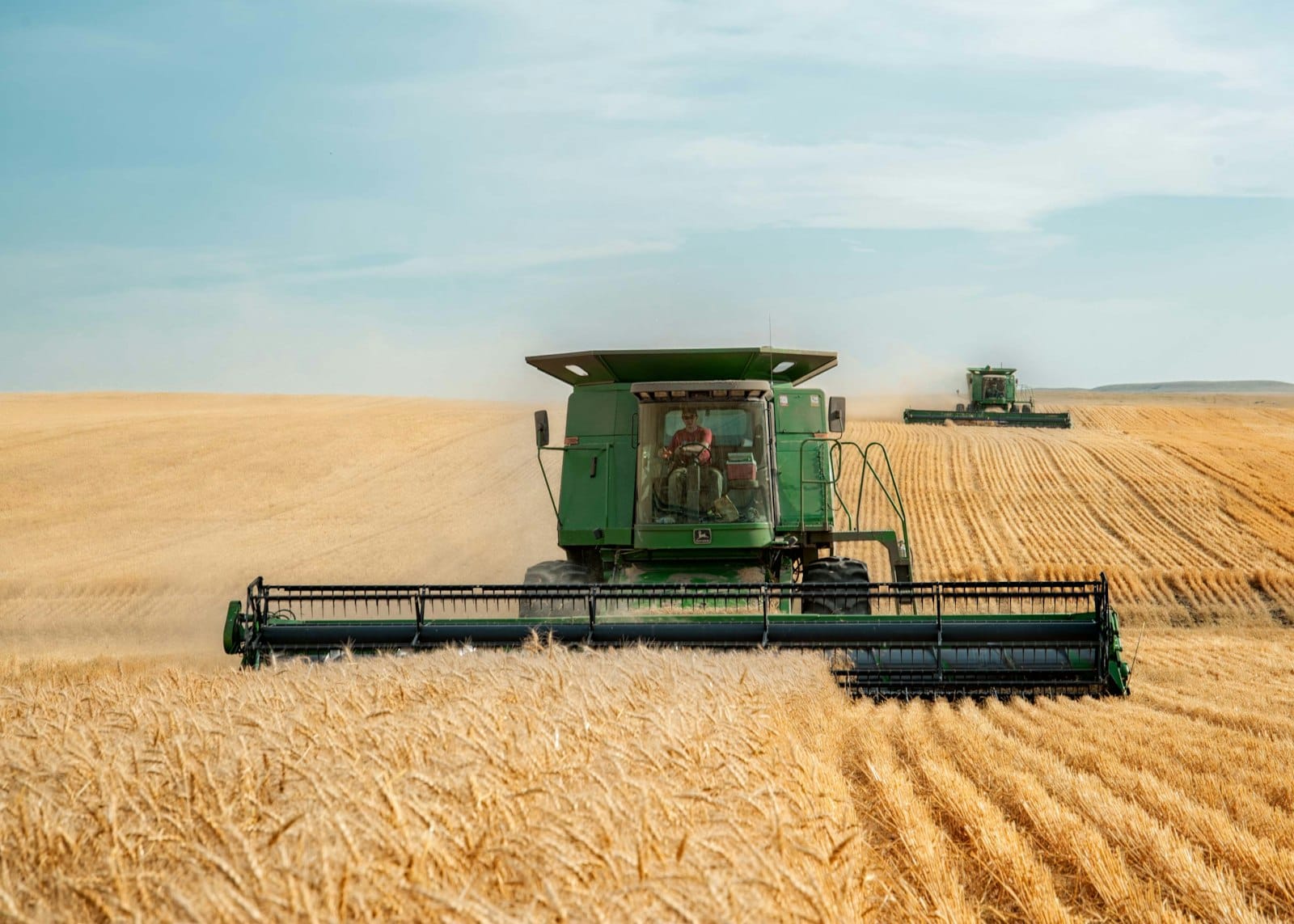 Two green combine harvesters working in a large wheat field