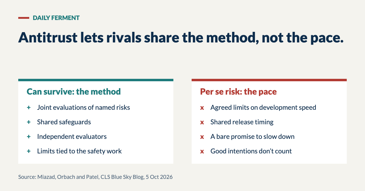 Two columns: what rivals can agree on (joint evaluations, shared safeguards, independent evaluators) versus what carries per se antitrust risk (agreed limits on development speed, shared release timing)