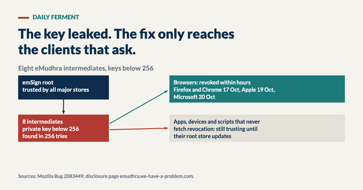 Diagram: a root certificate signs eight eMudhra intermediates whose private keys were numbers below 256; revocation reaches browsers within hours, while apps, devices and scripts that do not fetch revocation lists still trust the intermediates until their root store updates