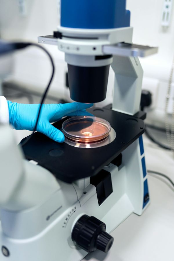 A microscope beside a petri dish on a laboratory bench