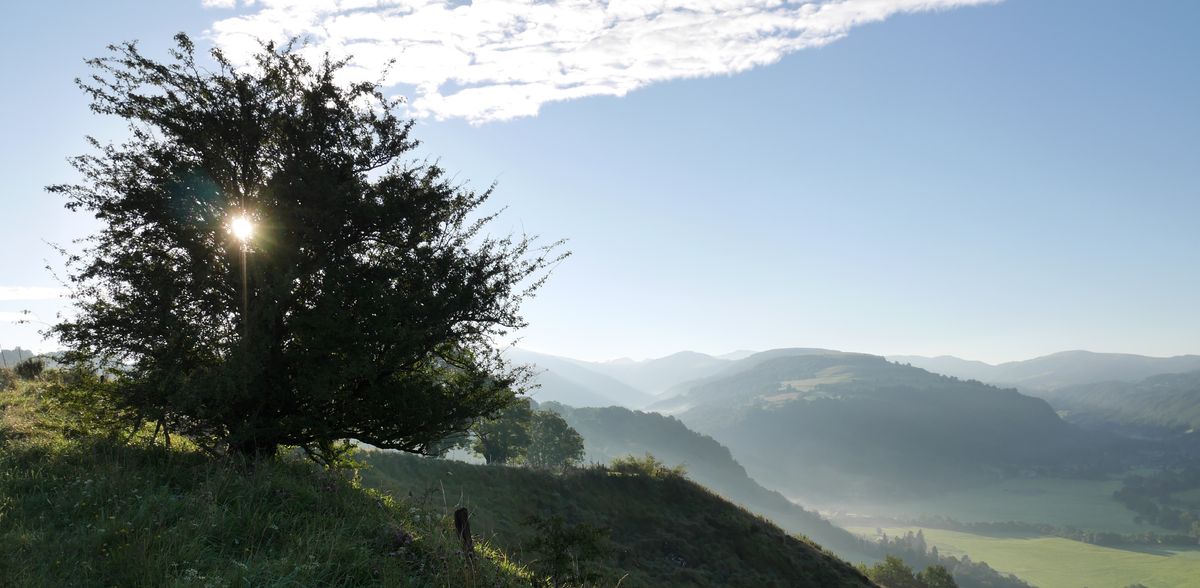 La vie par le prisme de l’infertilité