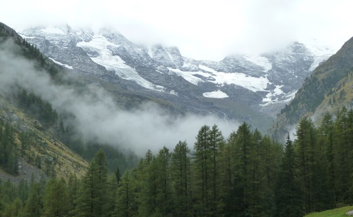 La médicalisation du désir d’enfant