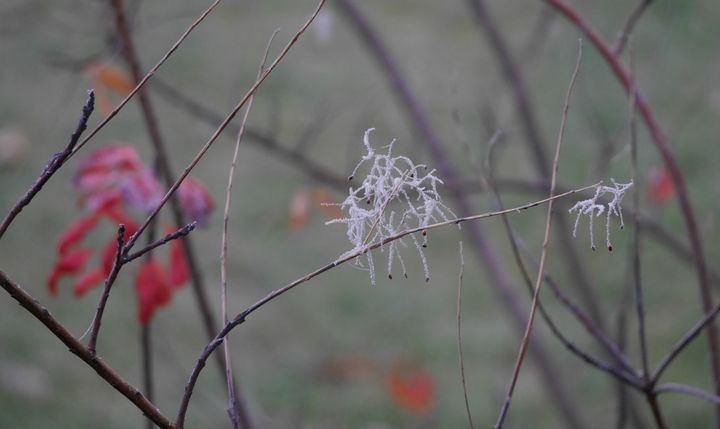 Musique de deuil et de consolation